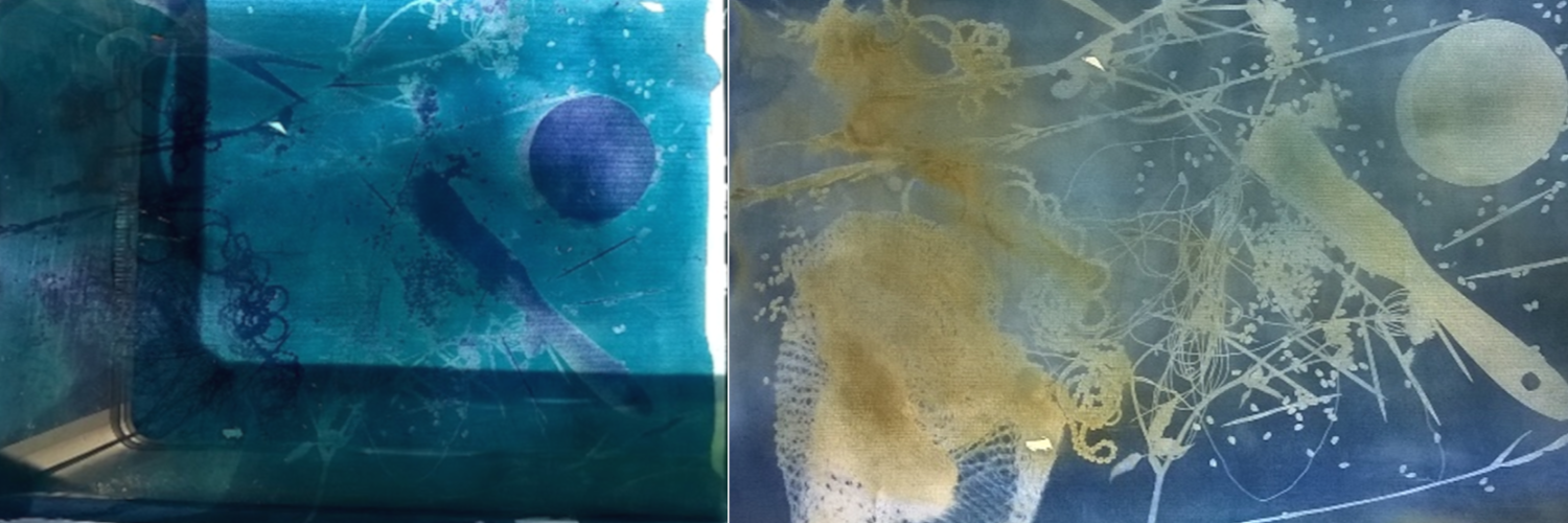 30. Juli und 3. August 2022: Blaue Pflanzen & Formen – Cyanotypie: KunstLab für Kinder von 10 bis 14 Jahren