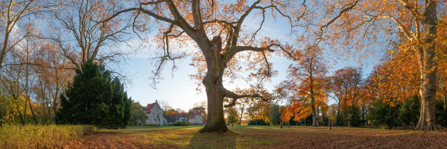 Westfälisches Parkpflegeseminar auf Schloss Senden